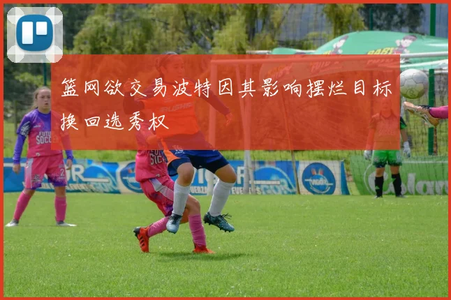 篮网欲交易波特因其影响摆烂目标换回选秀权